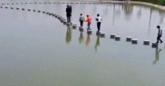 [field:title/]