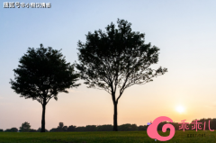 [field:title/]