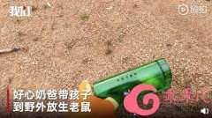 [field:title/]