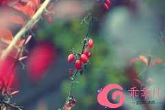 夫妻相处，成熟的女人，都不会计较三件事，