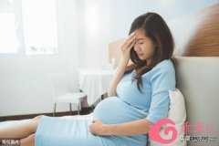 至：孕期中的宝妈们，如何应对催收和债务问
